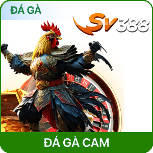 DỮ LIỆU FB88